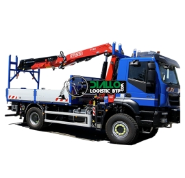Camion Grue